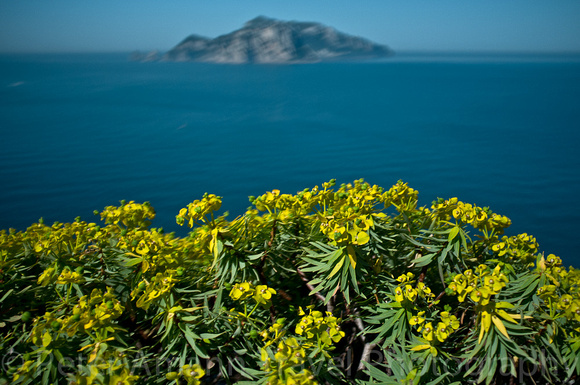 Capri, Blaue Limonade