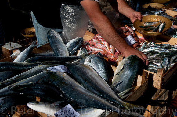 Catania, Fischmarkt